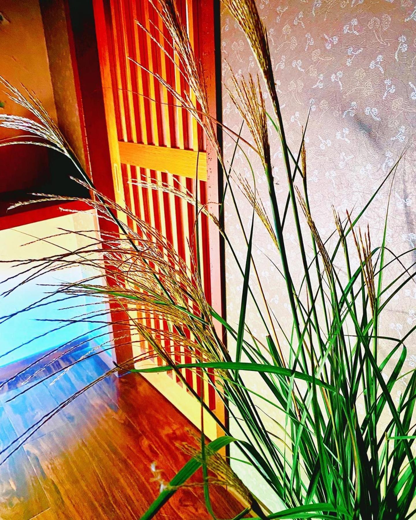 Private Villa Ietona Fujikawaguchiko Bagian luar foto