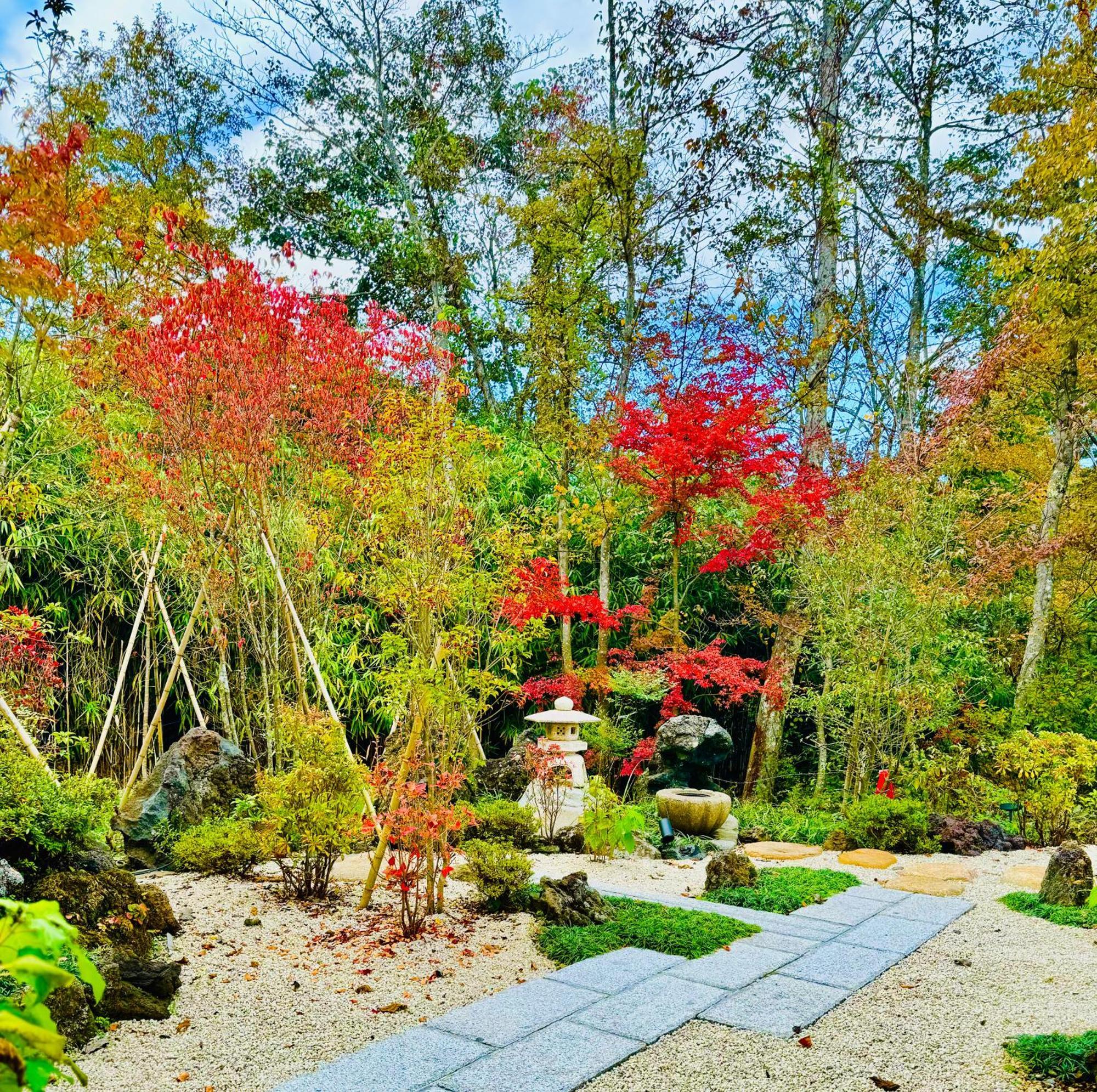 Private Villa Ietona Fujikawaguchiko Bagian luar foto